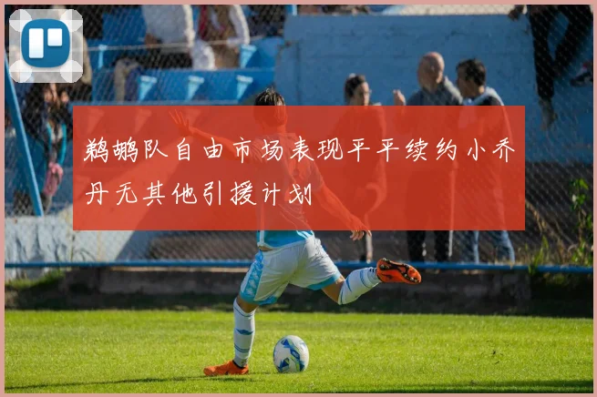 鹈鹕队自由市场表现平平续约小乔丹无其他引援计划